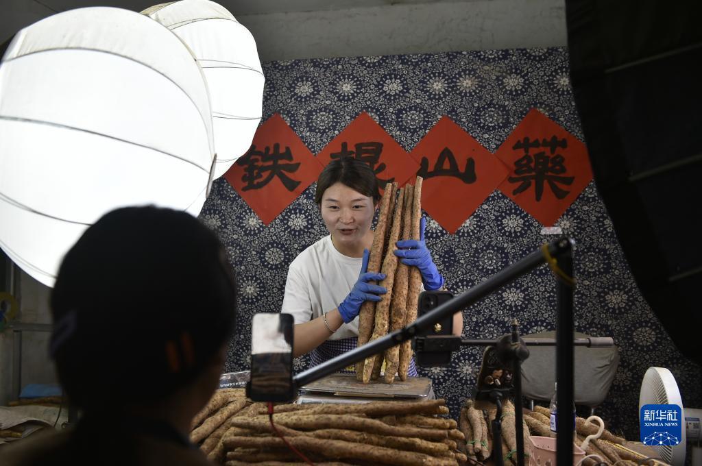 500元的一体电鱼机
